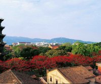 泉州十八景—双塔凌空(开元寺)
