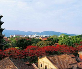 泉州十八景—双塔凌空(开元寺)