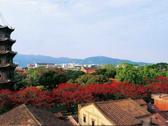 泉州十八景—双塔凌空（开元寺）